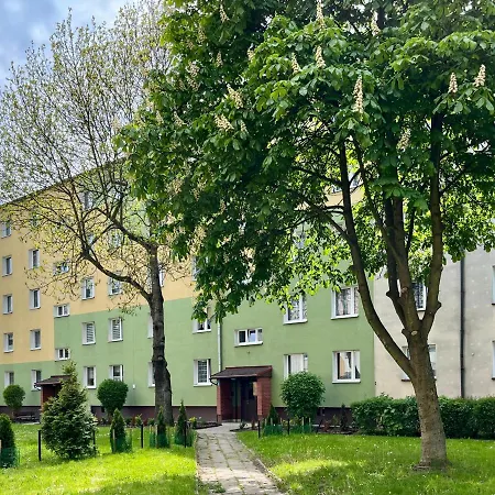 Lema * Jelenia Gora